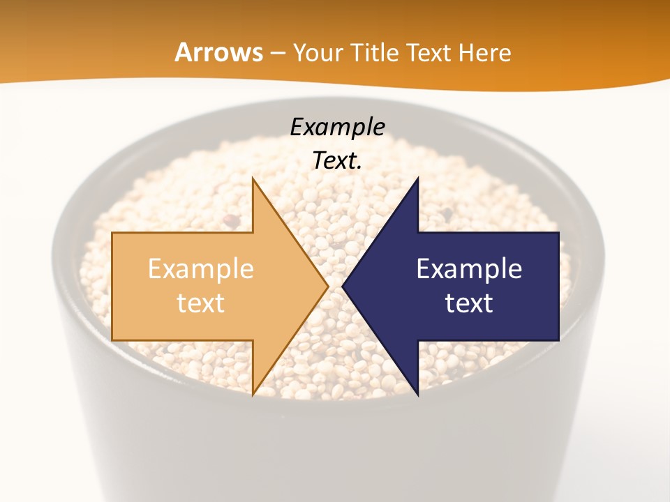 Seed Protein Agriculture PowerPoint Template