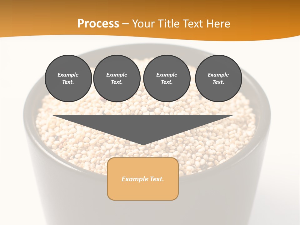 Seed Protein Agriculture PowerPoint Template
