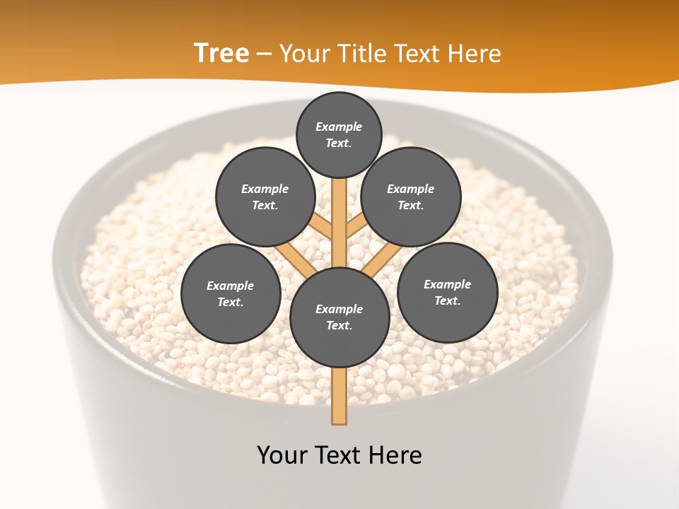 Seed Protein Agriculture PowerPoint Template