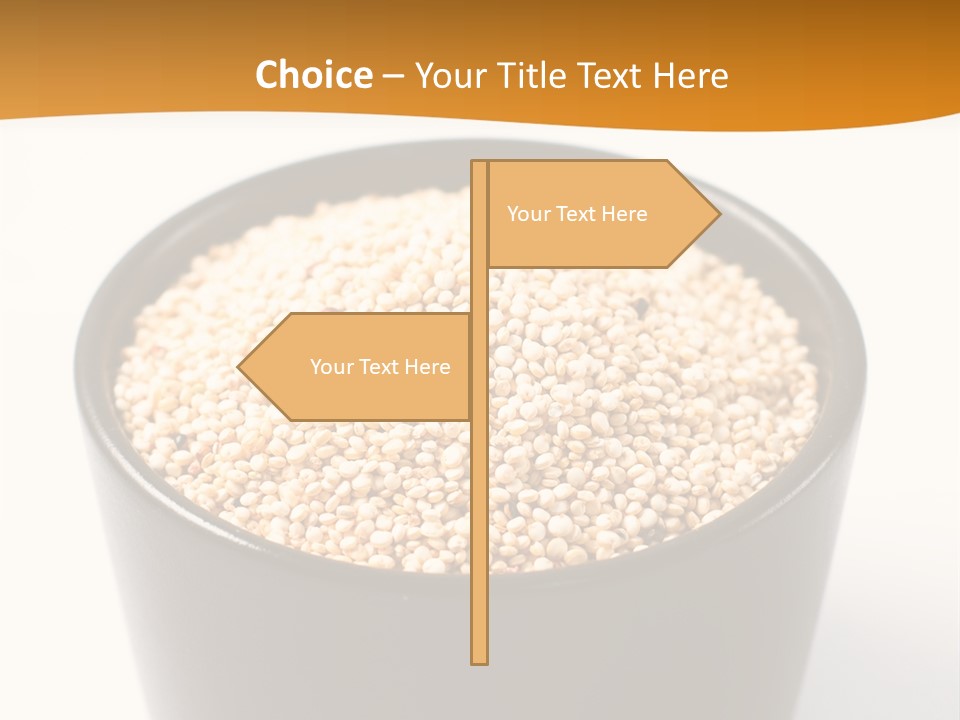 Seed Protein Agriculture PowerPoint Template