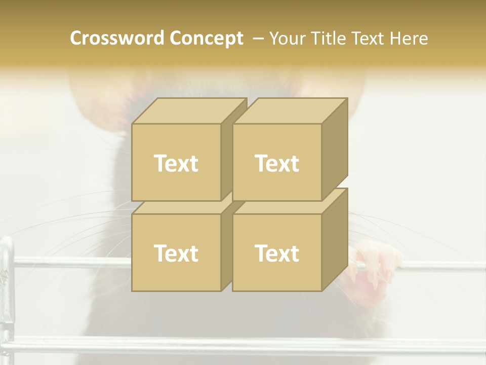 Animal Pest Domestic PowerPoint Template