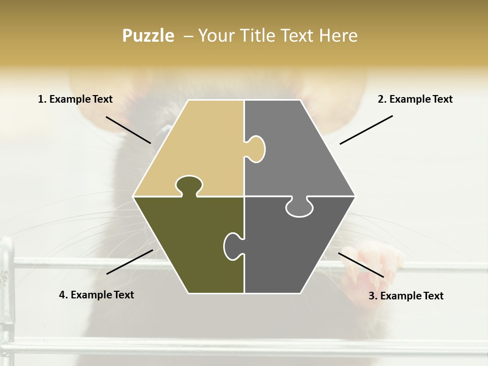 Animal Pest Domestic PowerPoint Template