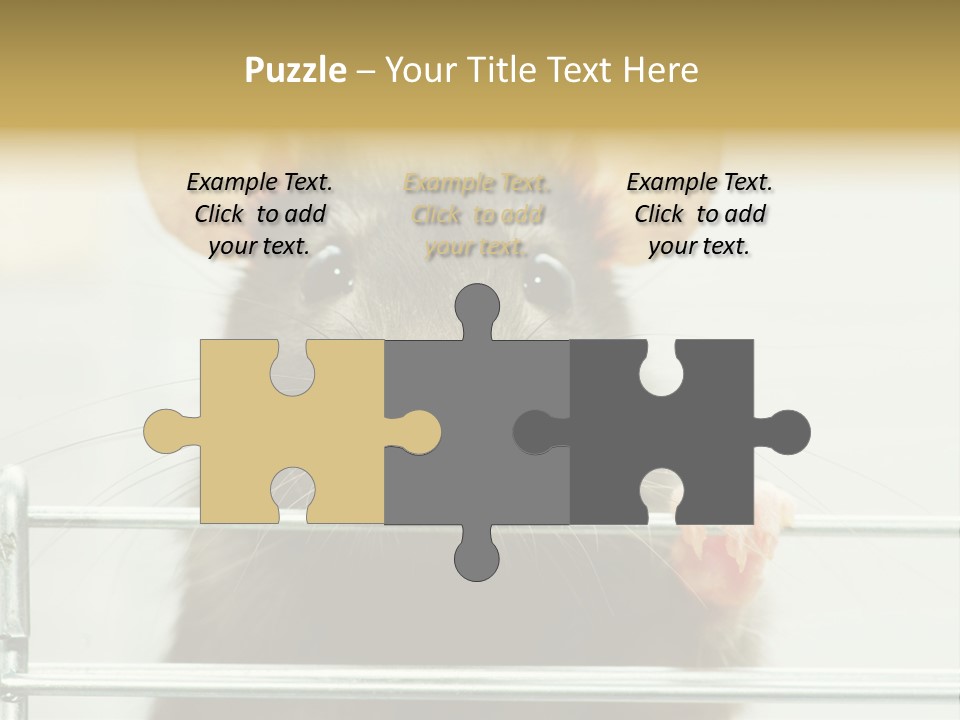 Animal Pest Domestic PowerPoint Template