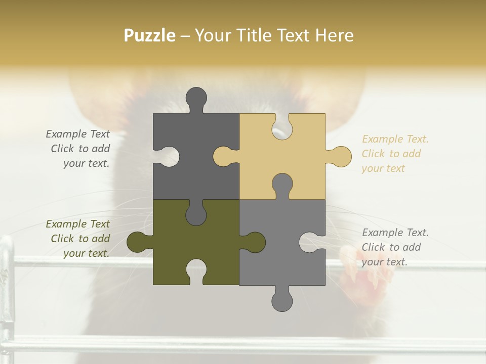 Animal Pest Domestic PowerPoint Template