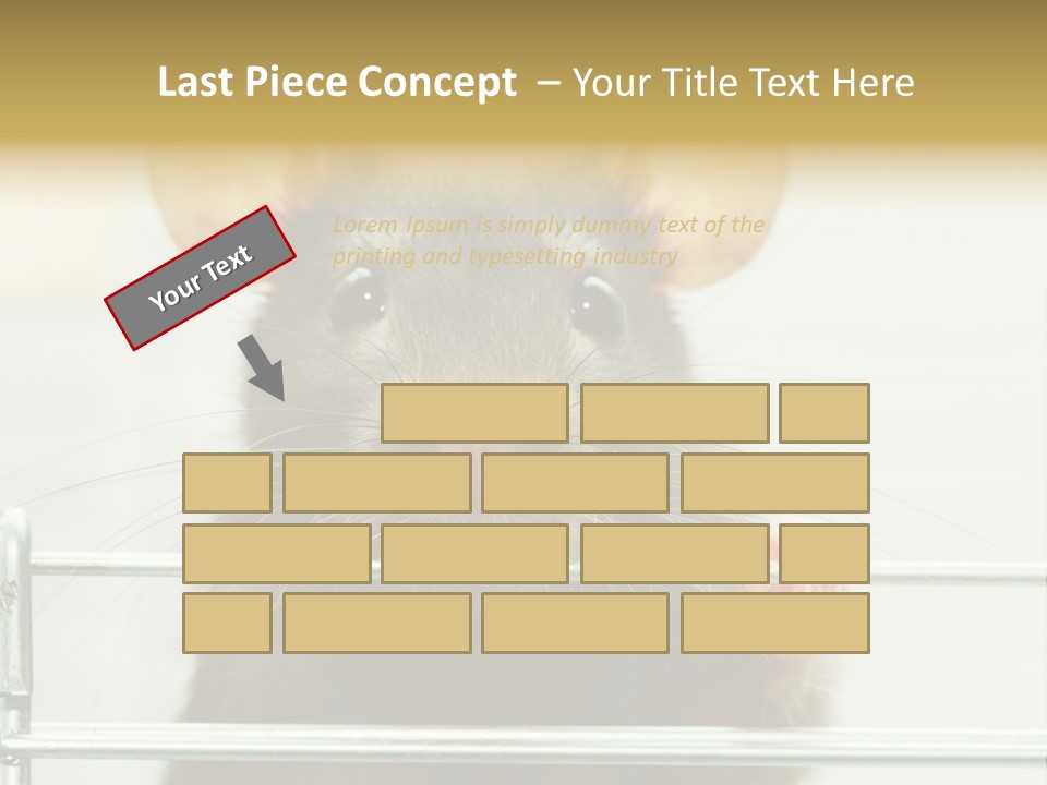 Animal Pest Domestic PowerPoint Template