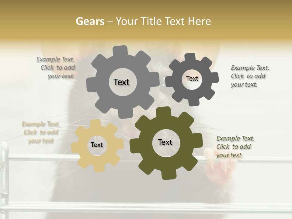 Animal Pest Domestic PowerPoint Template