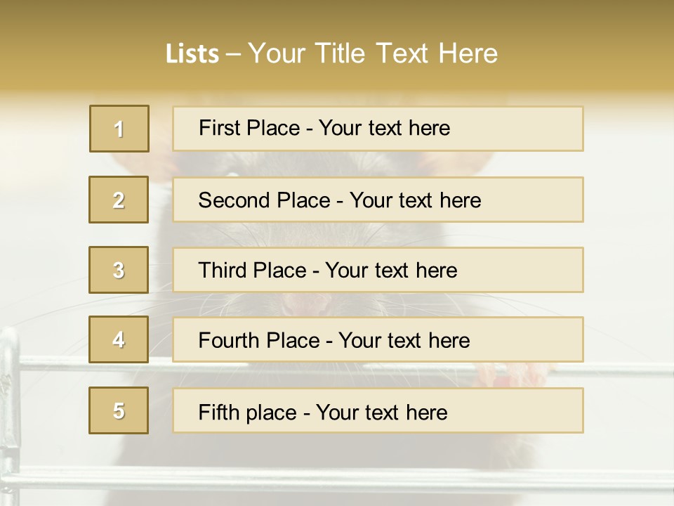 Animal Pest Domestic PowerPoint Template