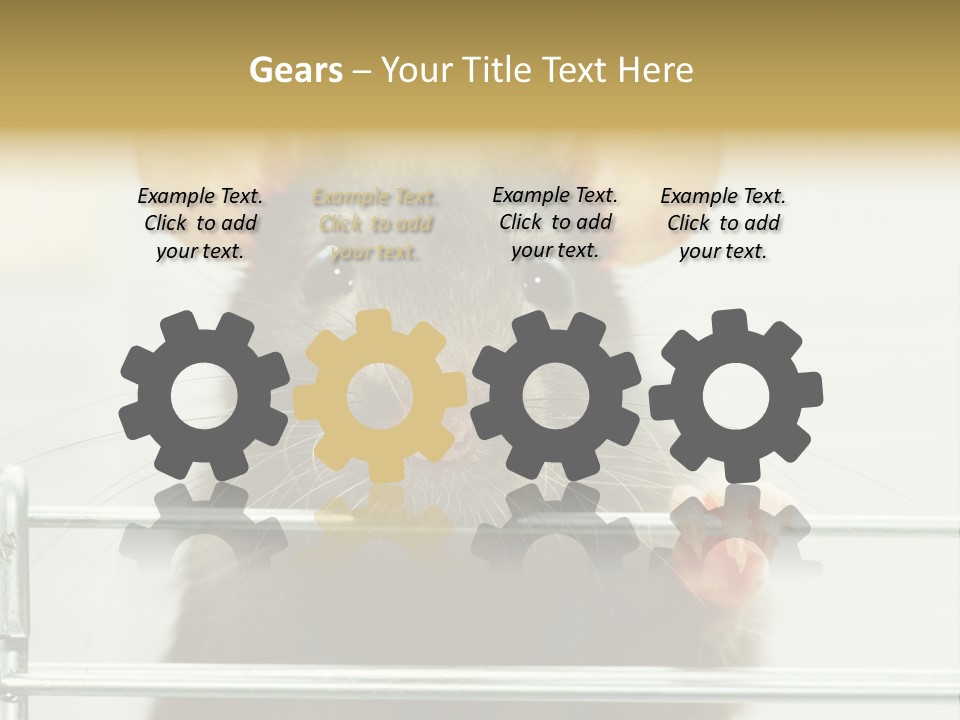 Animal Pest Domestic PowerPoint Template