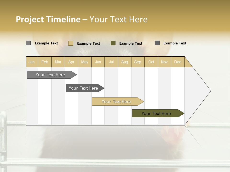 Animal Pest Domestic PowerPoint Template