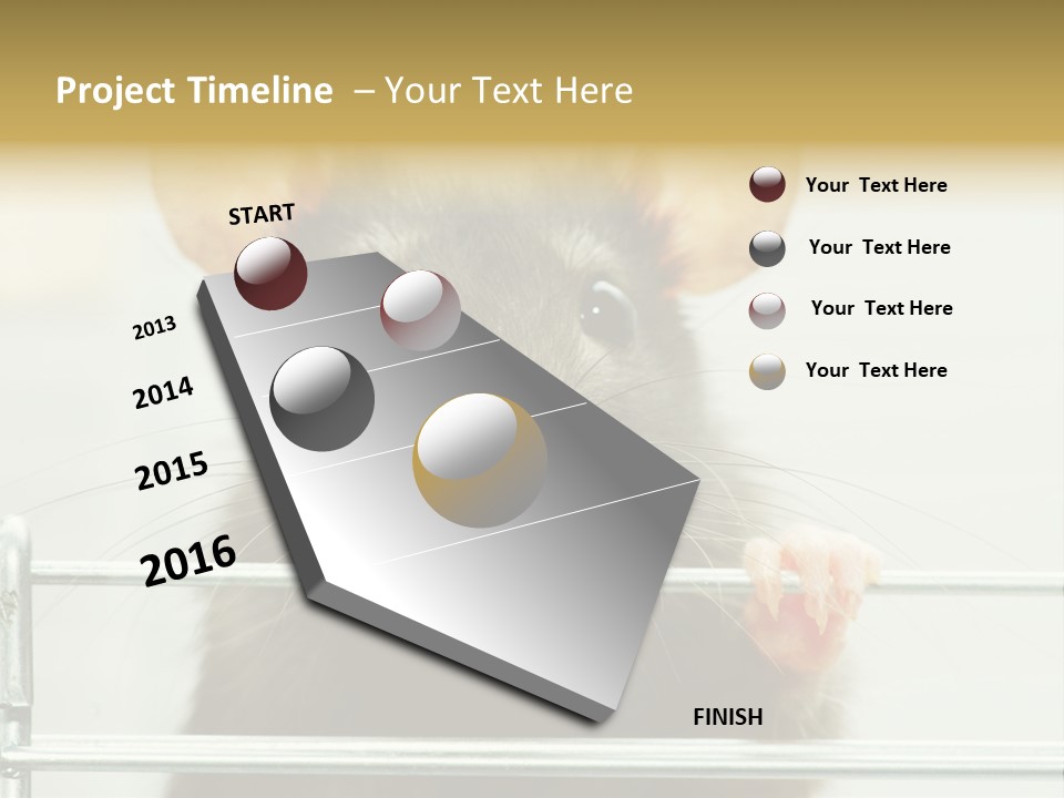 Animal Pest Domestic PowerPoint Template