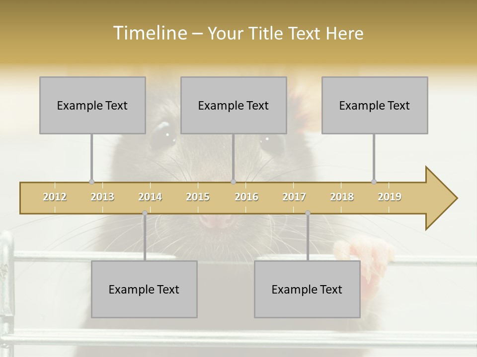 Animal Pest Domestic PowerPoint Template