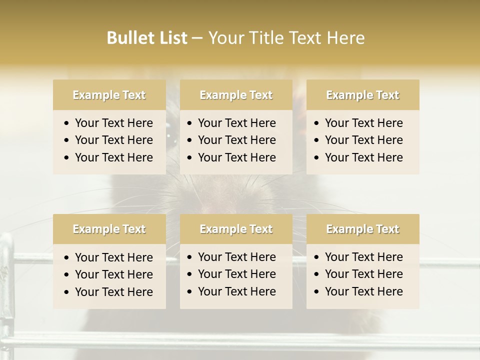 Animal Pest Domestic PowerPoint Template