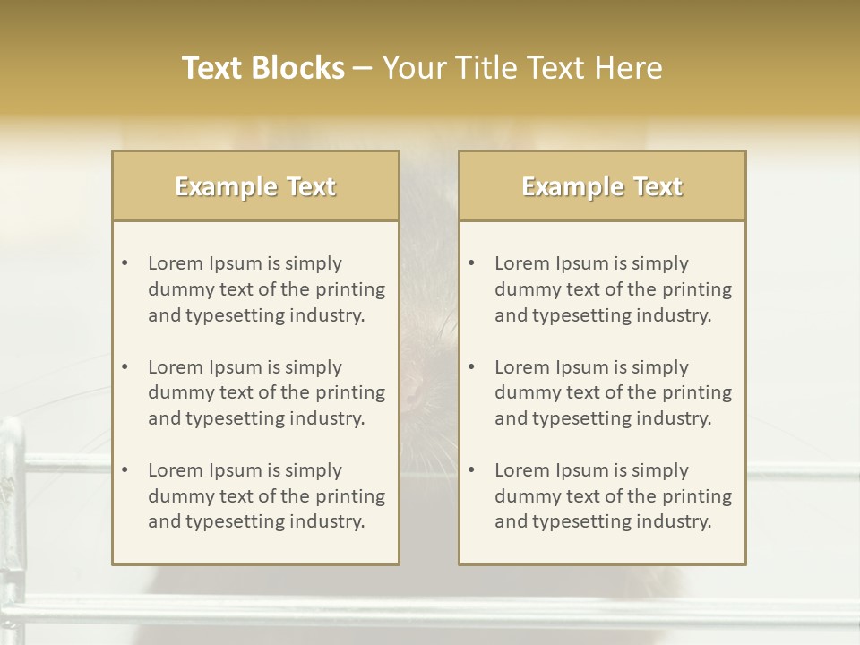 Animal Pest Domestic PowerPoint Template
