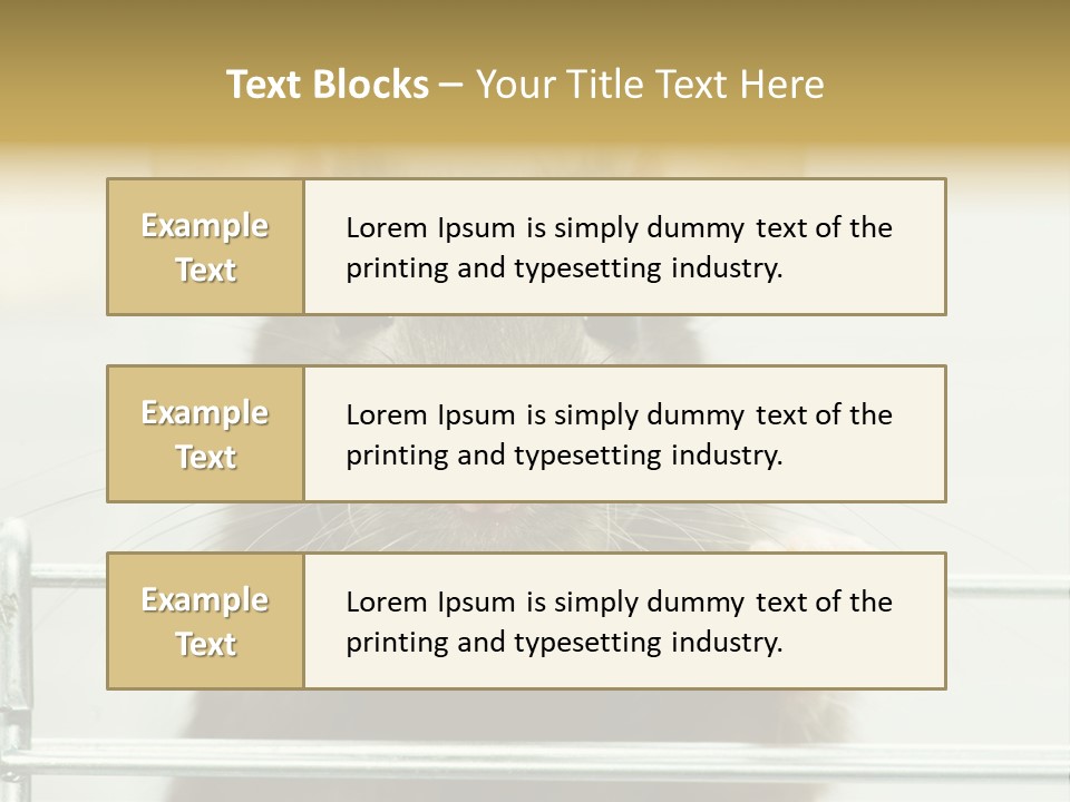 Animal Pest Domestic PowerPoint Template