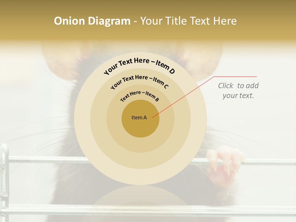 Animal Pest Domestic PowerPoint Template