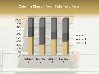 Animal Pest Domestic PowerPoint Template