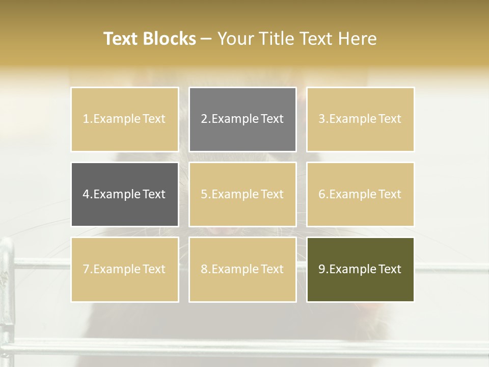 Animal Pest Domestic PowerPoint Template