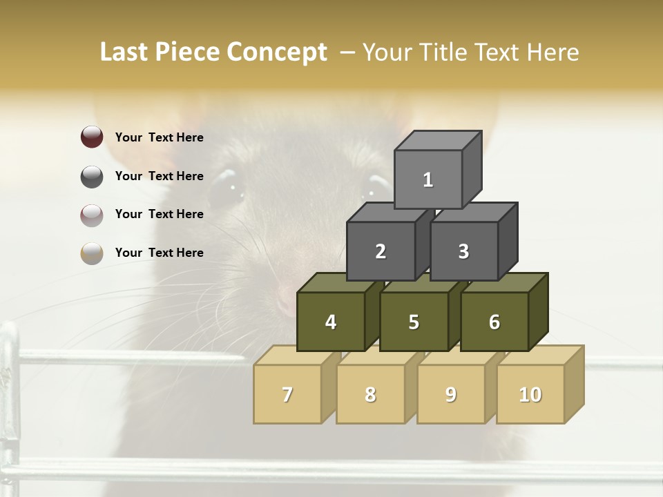 Animal Pest Domestic PowerPoint Template