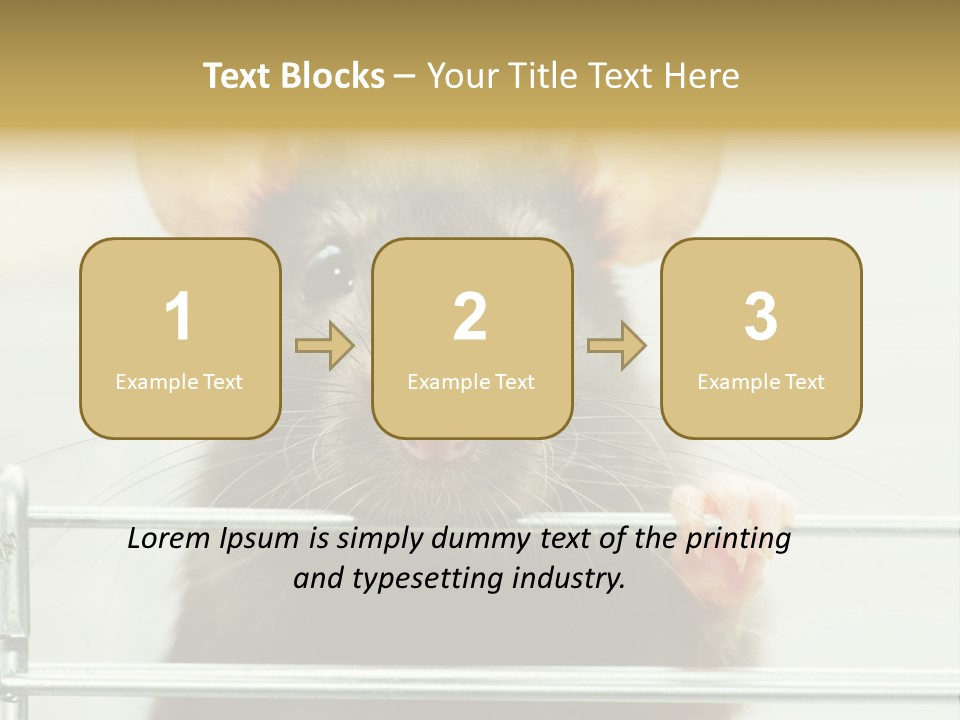 Animal Pest Domestic PowerPoint Template