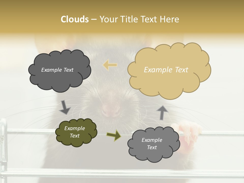 Animal Pest Domestic PowerPoint Template