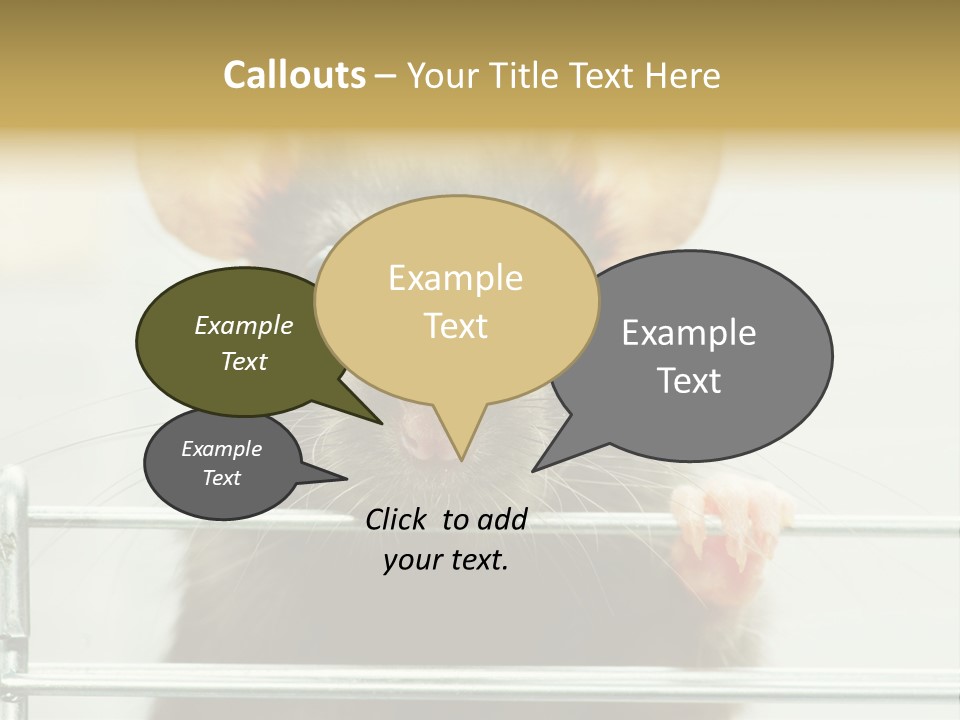 Animal Pest Domestic PowerPoint Template