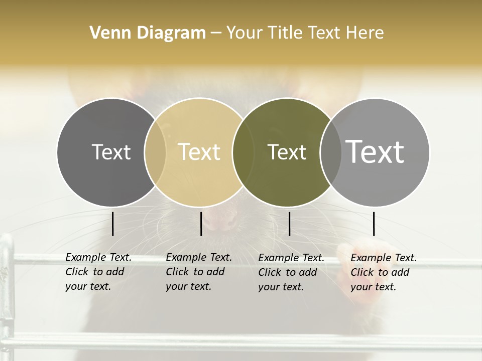Animal Pest Domestic PowerPoint Template
