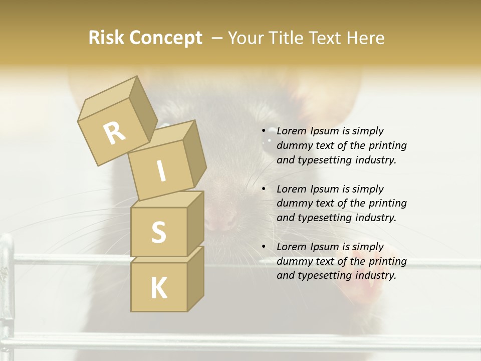 Animal Pest Domestic PowerPoint Template