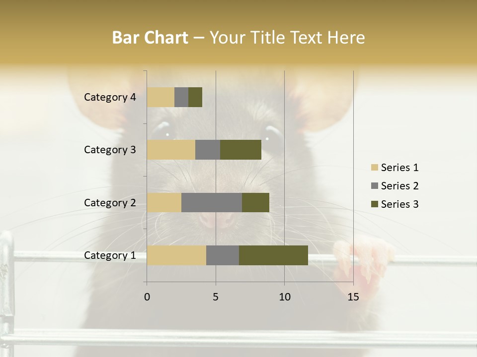 Animal Pest Domestic PowerPoint Template