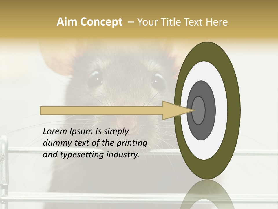 Animal Pest Domestic PowerPoint Template