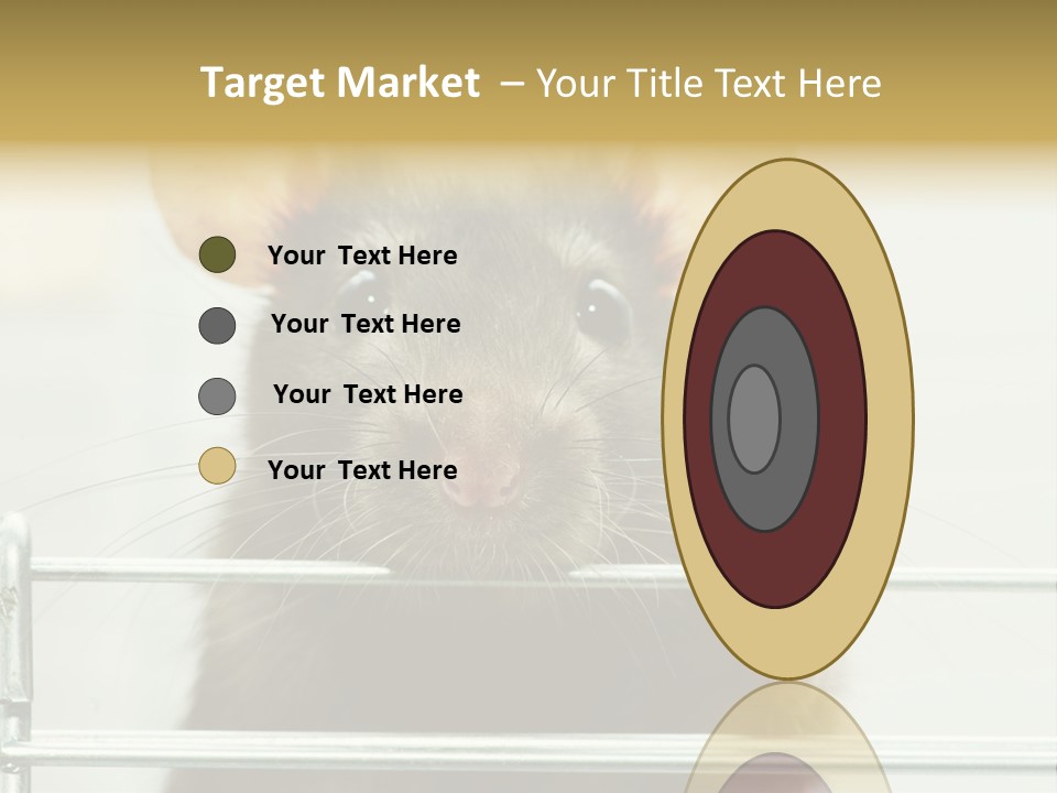 Animal Pest Domestic PowerPoint Template