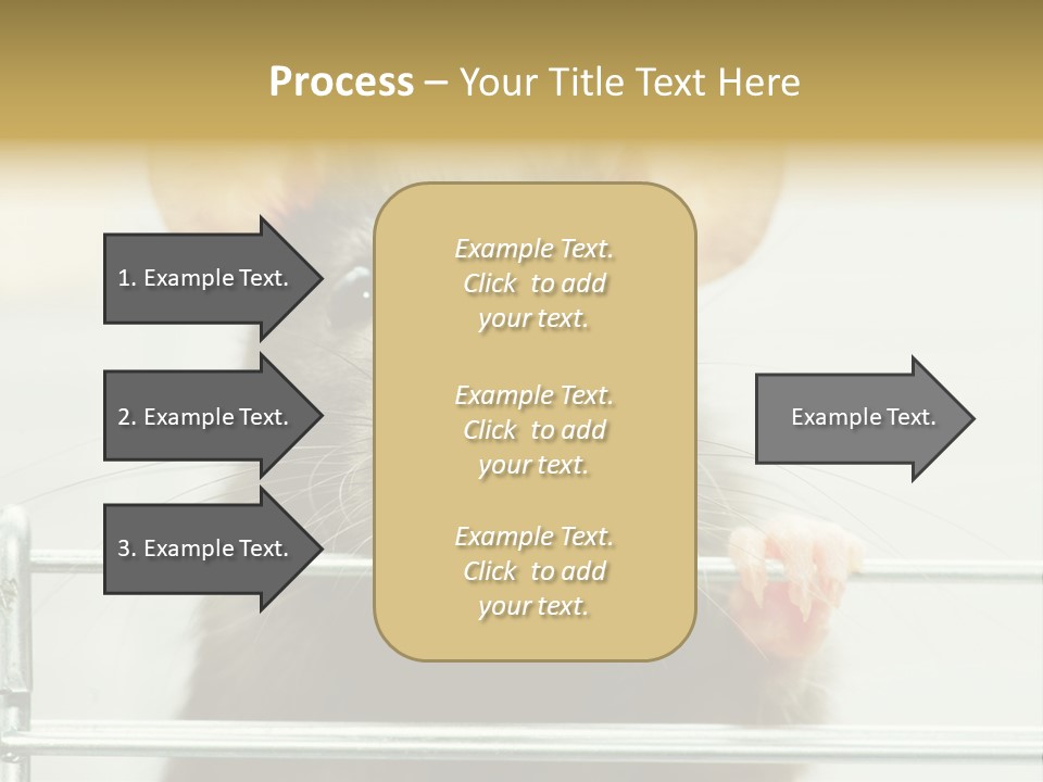Animal Pest Domestic PowerPoint Template