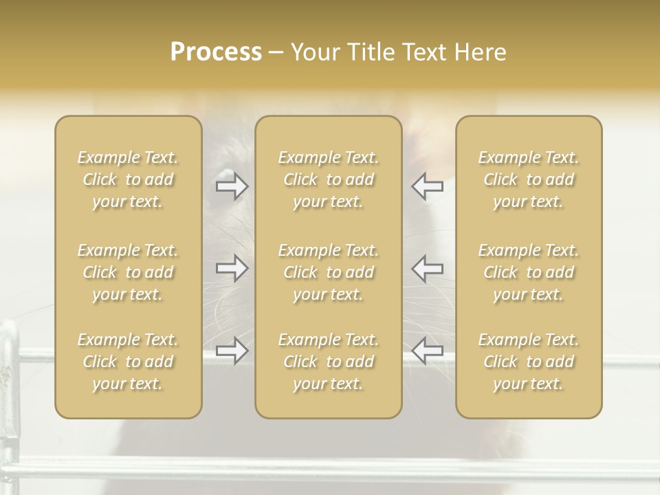 Animal Pest Domestic PowerPoint Template