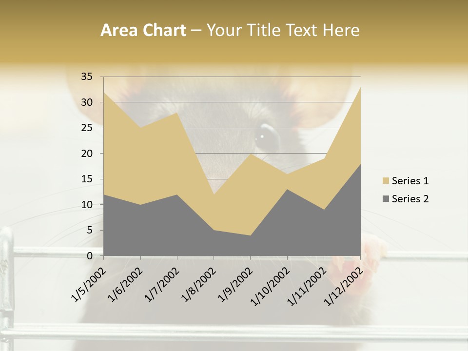 Animal Pest Domestic PowerPoint Template