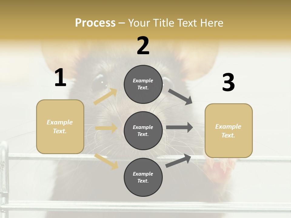 Animal Pest Domestic PowerPoint Template
