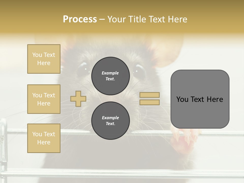 Animal Pest Domestic PowerPoint Template
