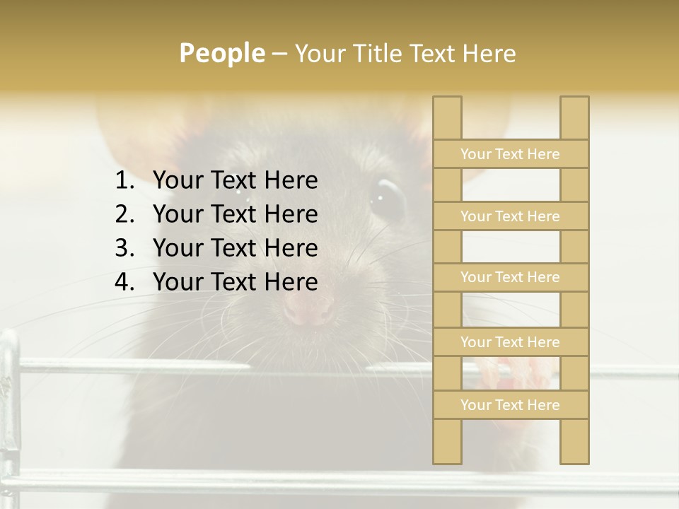 Animal Pest Domestic PowerPoint Template