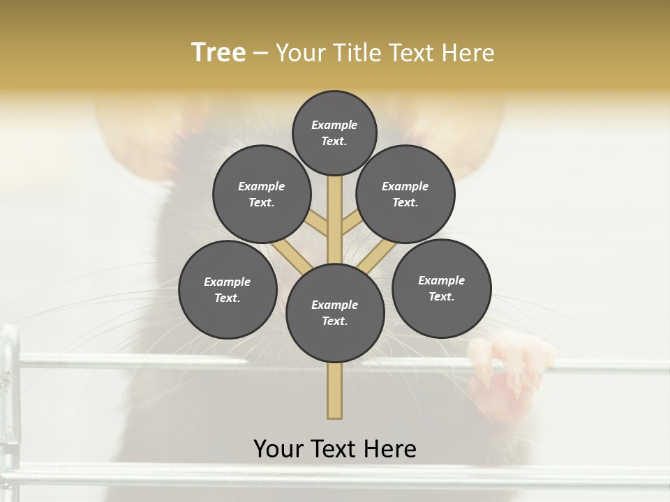 Animal Pest Domestic PowerPoint Template