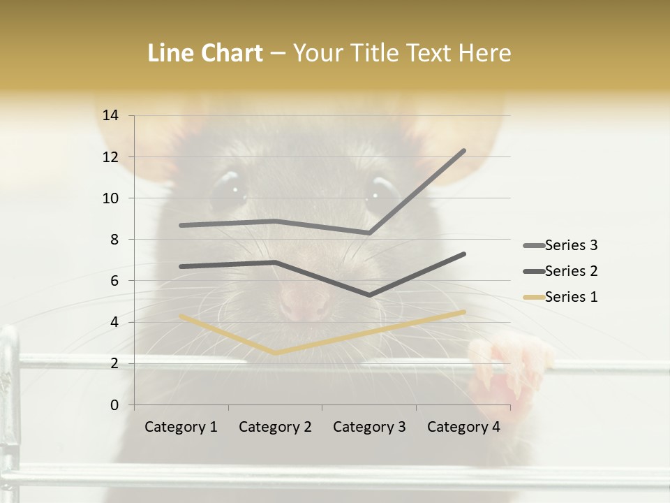 Animal Pest Domestic PowerPoint Template