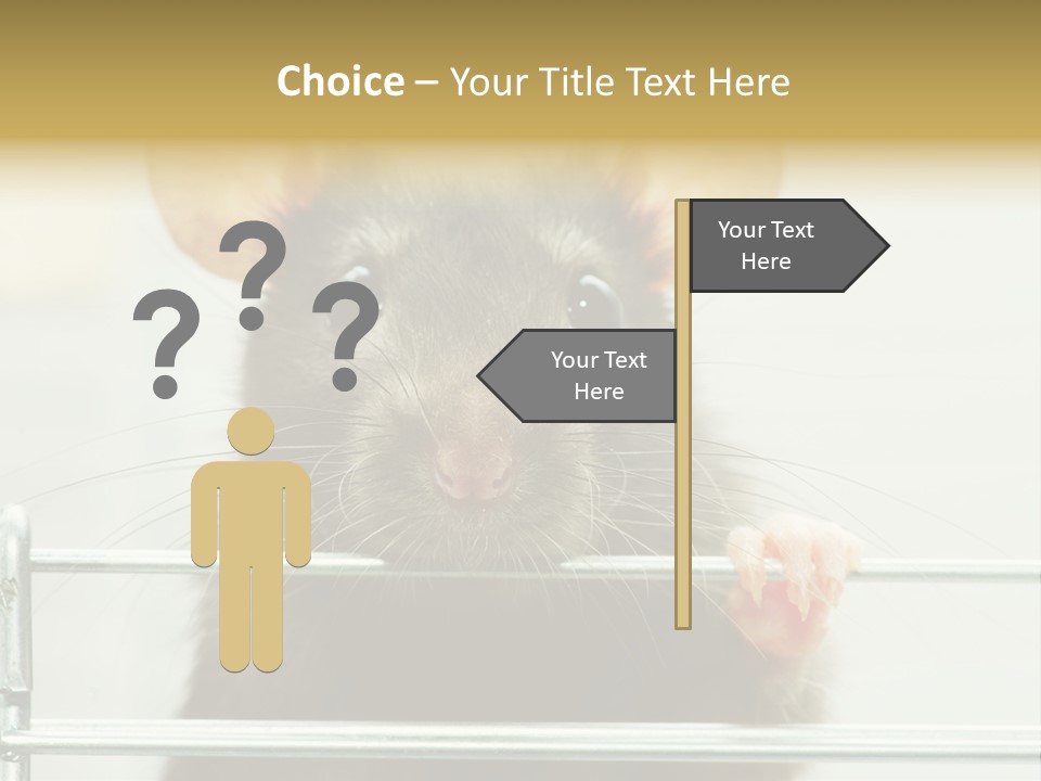 Animal Pest Domestic PowerPoint Template