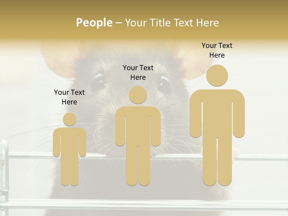 Animal Pest Domestic PowerPoint Template