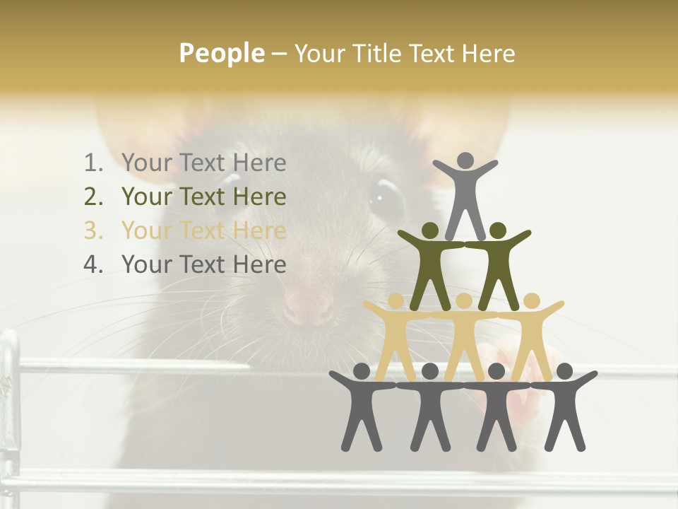Animal Pest Domestic PowerPoint Template