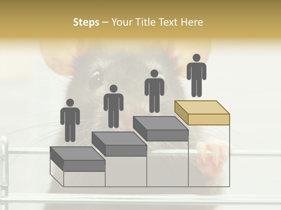 Animal Pest Domestic PowerPoint Template
