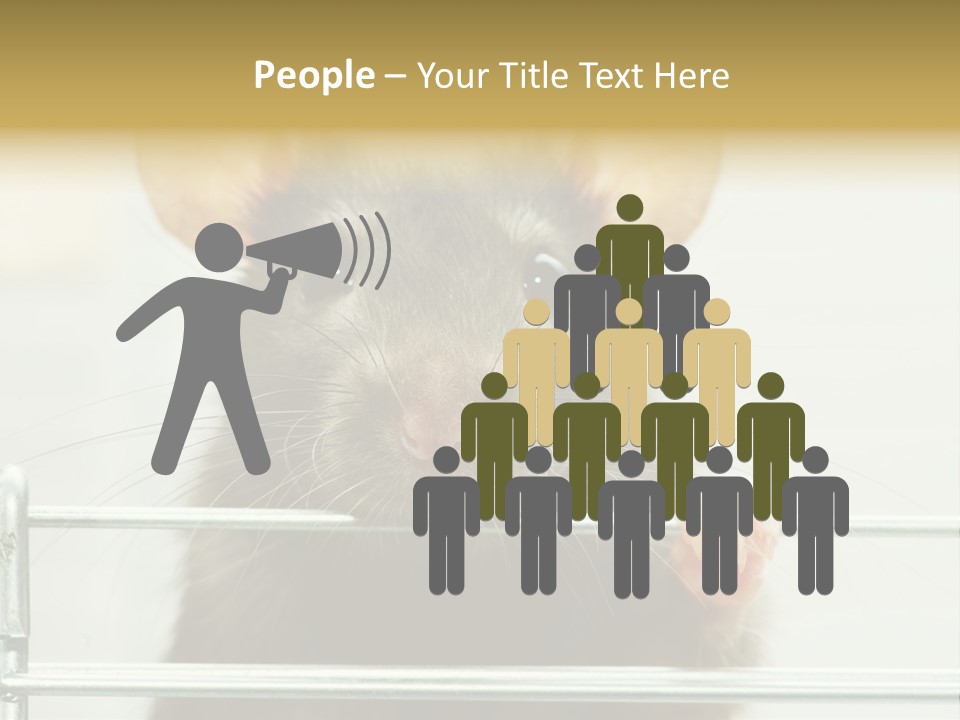 Animal Pest Domestic PowerPoint Template