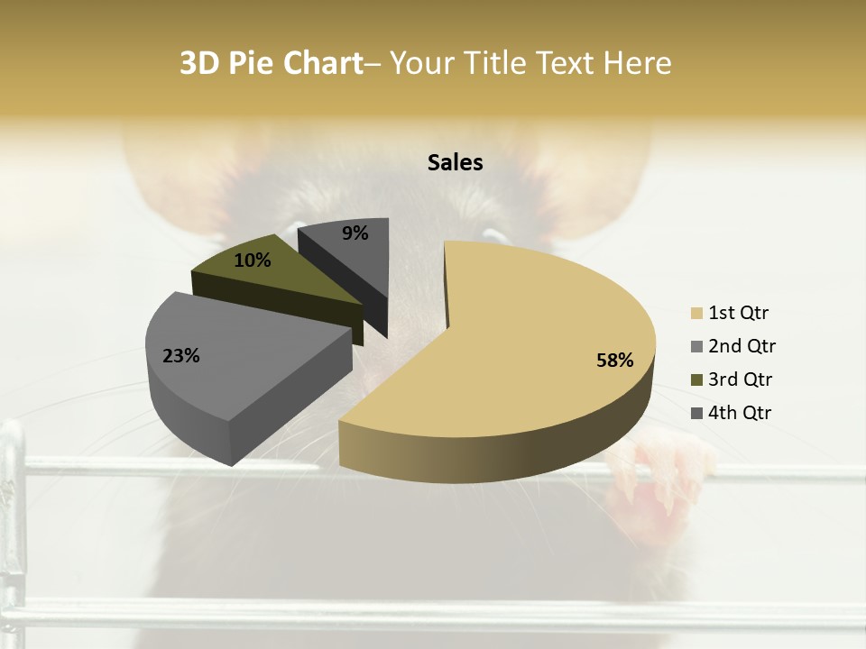 Animal Pest Domestic PowerPoint Template