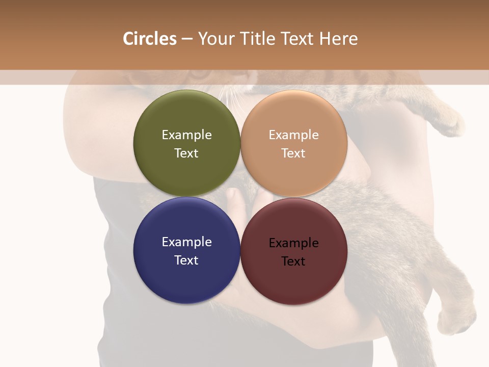 Holding Young Mammal PowerPoint Template