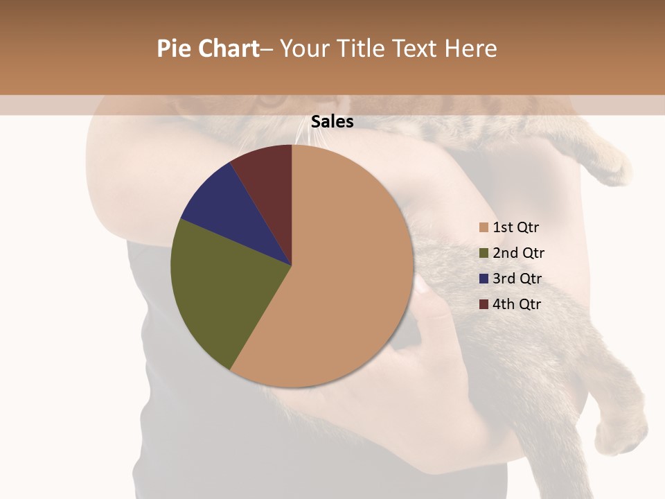 Holding Young Mammal PowerPoint Template