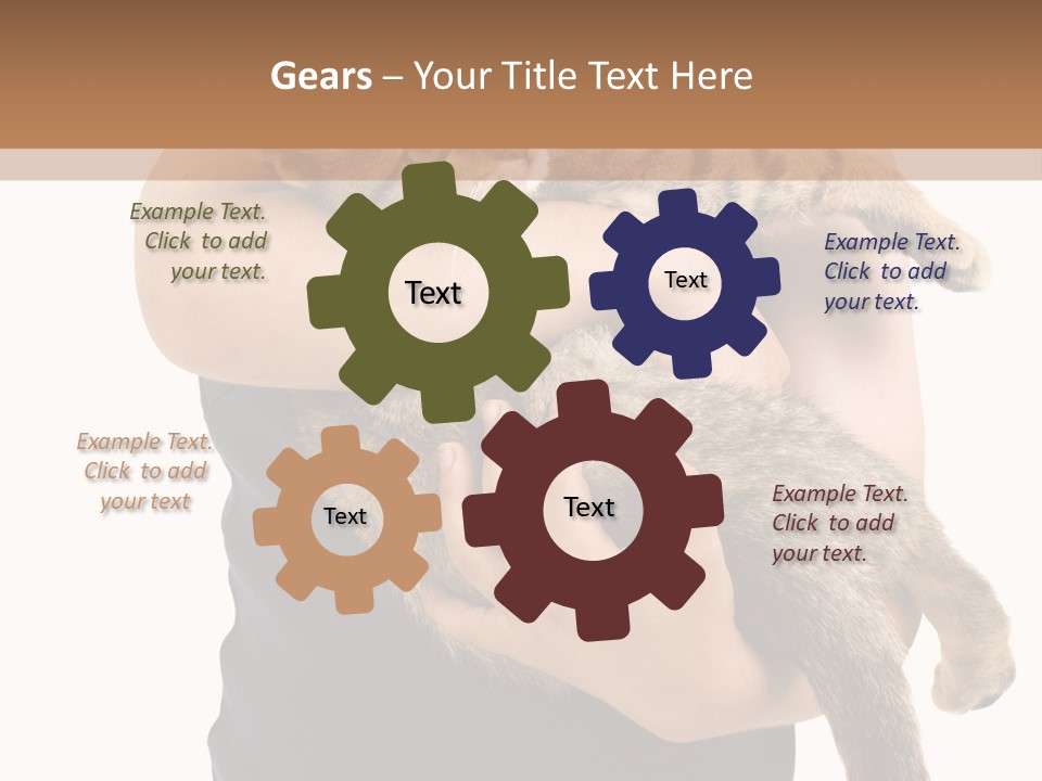 Holding Young Mammal PowerPoint Template