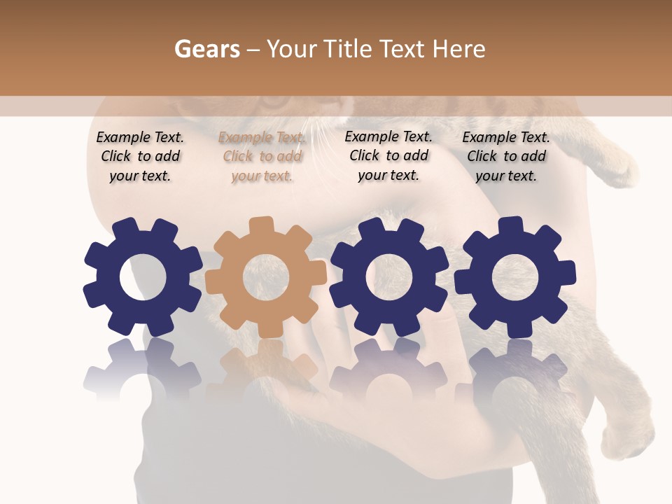 Holding Young Mammal PowerPoint Template