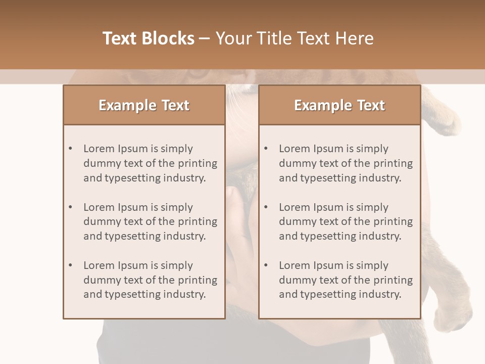 Holding Young Mammal PowerPoint Template
