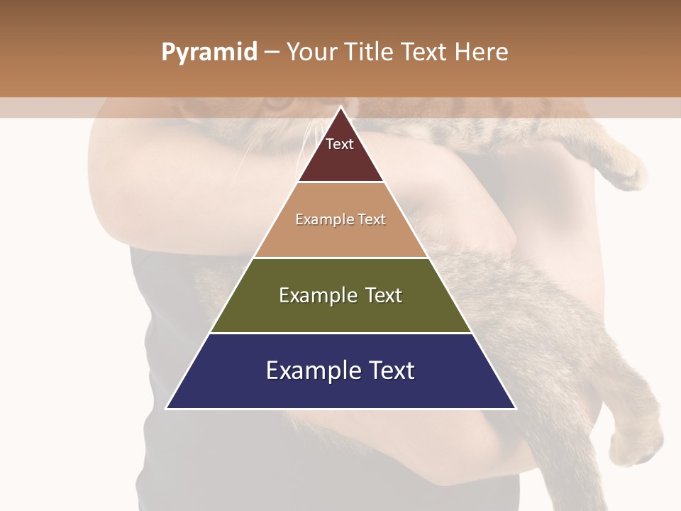 Holding Young Mammal PowerPoint Template